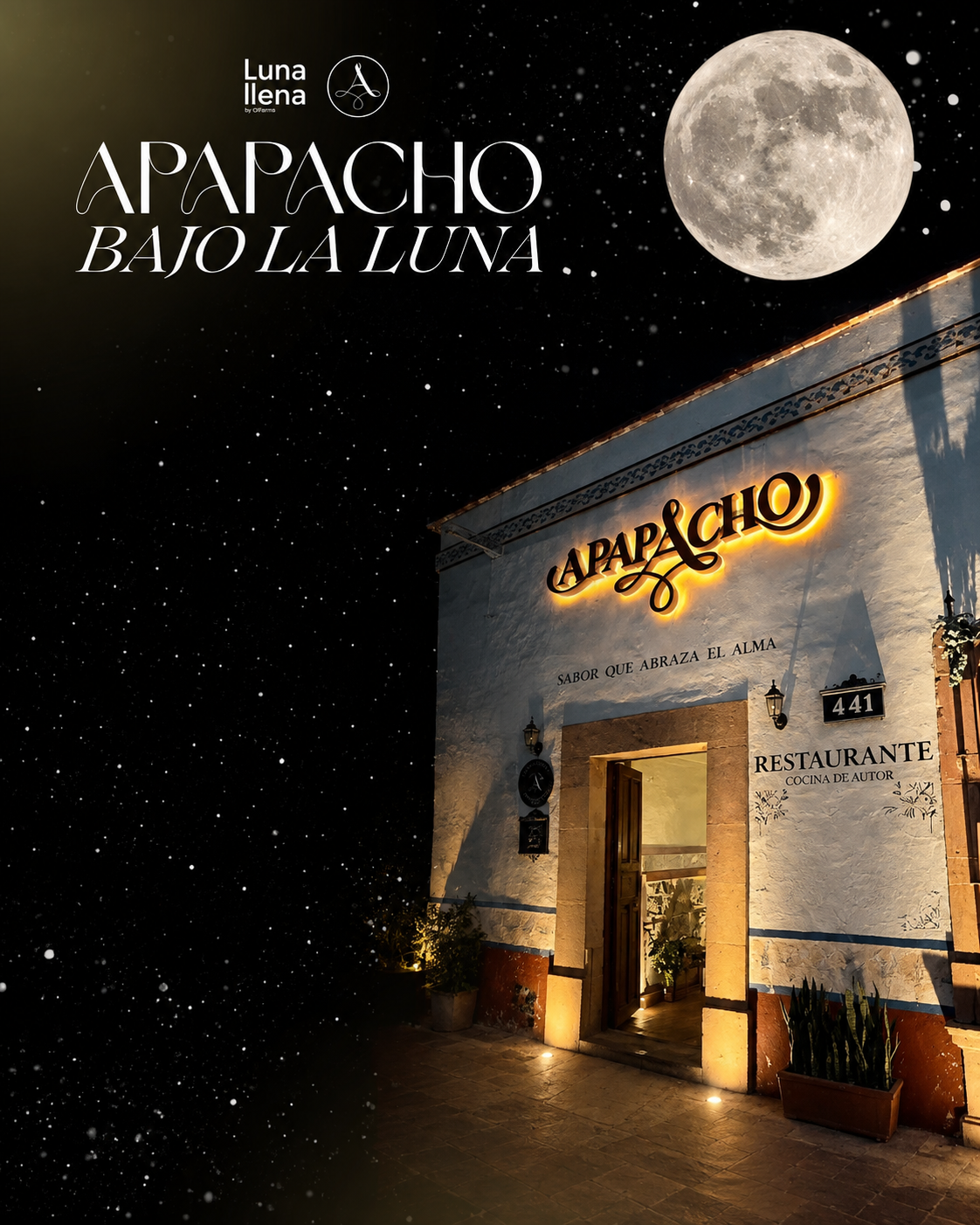 Apapacho Bajo la Luna